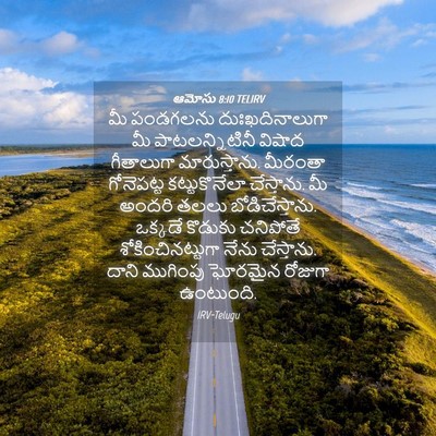 Picture 04 - ఆమోసు 8:10 TELIRV - మీ పండగలను - Bible Verse Picture