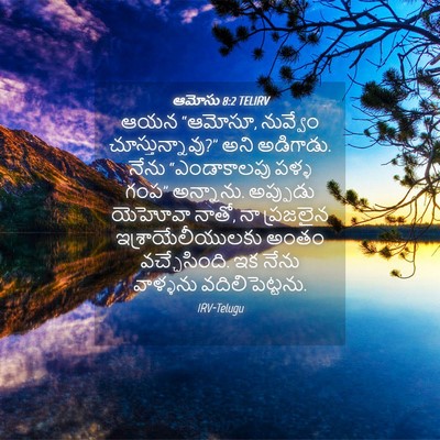 Picture 04 - ఆమోసు 8:2 TELIRV - ఆయన “ఆమోసూ, - Bible Verse Picture