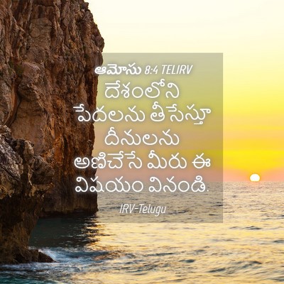 Picture 04 - ఆమోసు 8:4 TELIRV - దేశంలోని పేదలను - Bible Verse Picture