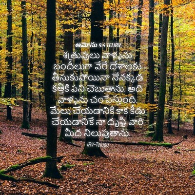 Picture 04 - ఆమోసు 9:4 TELIRV - శత్రువులు వాళ్ళను - Bible Verse Picture