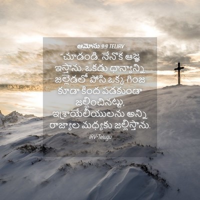 Picture 04 - ఆమోసు 9:9 TELIRV - “చూడండి. నేనొక - Bible Verse Picture
