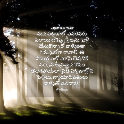 Picture 04 - ఎజ్రా 10:14 TELIRV - మన పట్టణాల్లో - Bible Verse Picture