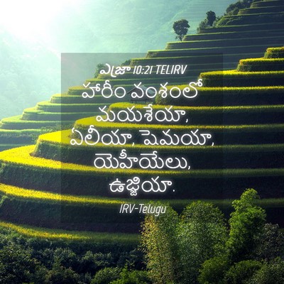 Picture 04 - ఎజ్రా 10:21 TELIRV - హారీం వంశంలో - Bible Verse Picture