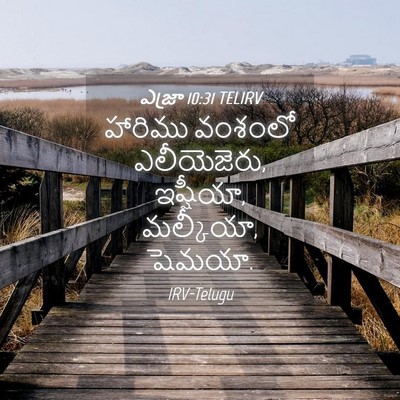 Picture 04 - ఎజ్రా 10:31 TELIRV - హారిము వంశంలో - Bible Verse Picture