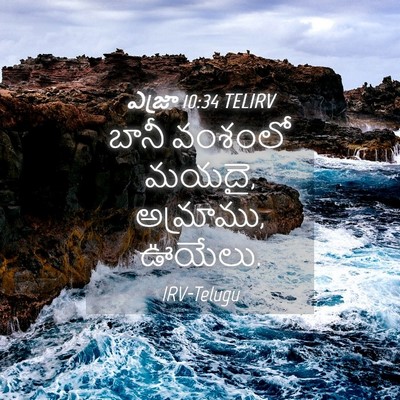 Picture 04 - ఎజ్రా 10:34 TELIRV - బానీ వంశంలో మయదై, - Bible Verse Picture