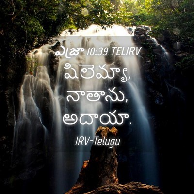 Picture 04 - ఎజ్రా 10:39 TELIRV - షిలెమ్యా, నాతాను, - Bible Verse Picture