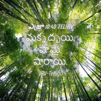 Picture 04 - ఎజ్రా 10:40 TELIRV - మక్నద్బయి, షామై, - Bible Verse Picture
