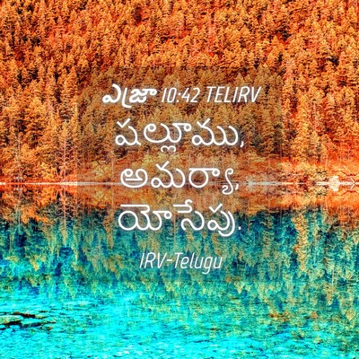 Picture 04 - ఎజ్రా 10:42 TELIRV - షల్లూము, అమర్యా, - Bible Verse Picture