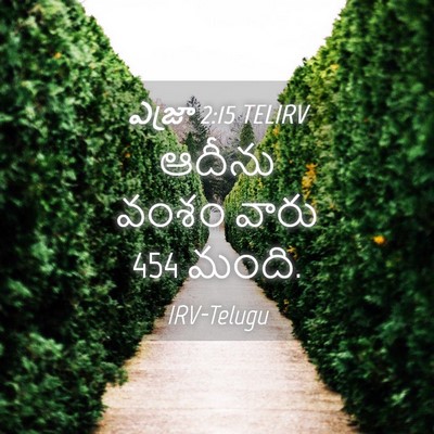 Picture 04 - ఎజ్రా 2:15 TELIRV - ఆదీను వంశం వారు 454 - Bible Verse Picture