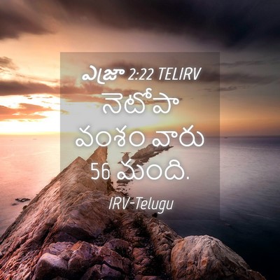 Picture 04 - ఎజ్రా 2:22 TELIRV - నెటోపా వంశం వారు 56 - Bible Verse Picture