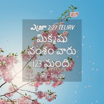 Picture 04 - ఎజ్రా 2:27 TELIRV - మిక్మషు వంశం వారు - Bible Verse Picture