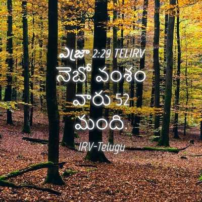 Picture 04 - ఎజ్రా 2:29 TELIRV - నెబో వంశం వారు 52 - Bible Verse Picture
