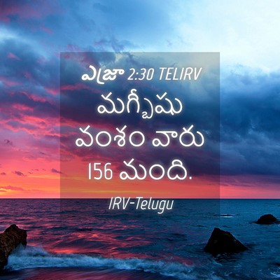Picture 04 - ఎజ్రా 2:30 TELIRV - మగ్బీషు వంశం వారు - Bible Verse Picture