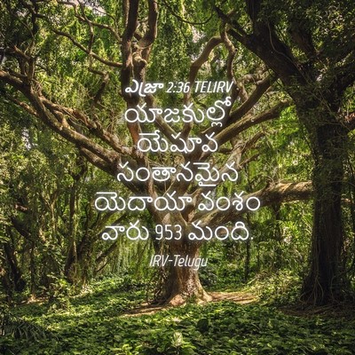 Picture 04 - ఎజ్రా 2:36 TELIRV - యాజకుల్లో యేషూవ - Bible Verse Picture