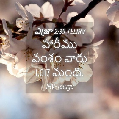 Picture 04 - ఎజ్రా 2:39 TELIRV - హారీము వంశం వారు - Bible Verse Picture