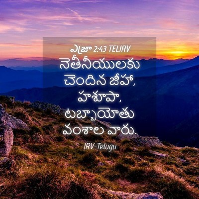 Picture 04 - ఎజ్రా 2:43 TELIRV - నెతీనీయులకు - Bible Verse Picture