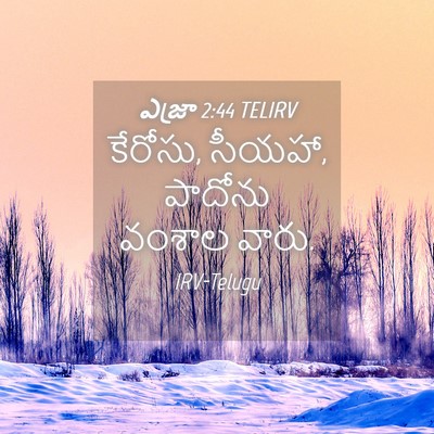 Picture 04 - ఎజ్రా 2:44 TELIRV - కేరోసు, సీయహా, - Bible Verse Picture