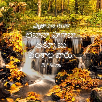 Picture 04 - ఎజ్రా 2:45 TELIRV - లెబానా, హగాబా, - Bible Verse Picture