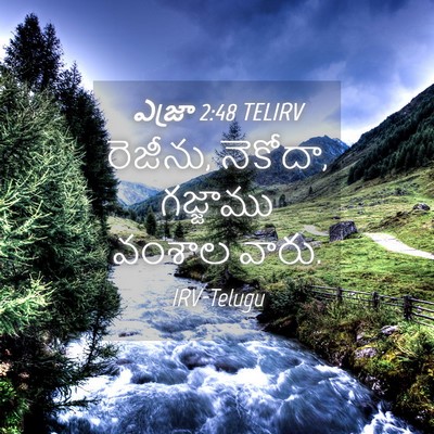Picture 04 - ఎజ్రా 2:48 TELIRV - రెజీను, నెకోదా, - Bible Verse Picture