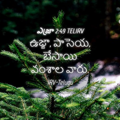 Picture 04 - ఎజ్రా 2:49 TELIRV - ఉజ్జా, పాసెయ, - Bible Verse Picture