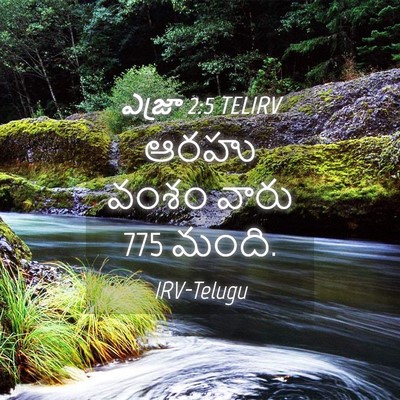 Picture 04 - ఎజ్రా 2:5 TELIRV - ఆరహు వంశం వారు 775 - Bible Verse Picture