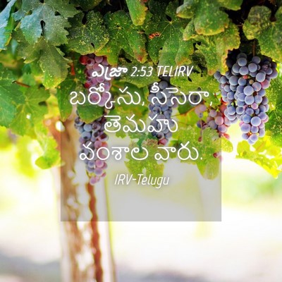 Picture 04 - ఎజ్రా 2:53 TELIRV - బర్కోసు, సీసెరా, - Bible Verse Picture