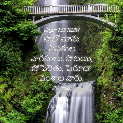 Picture 04 - ఎజ్రా 2:55 TELIRV - సొలొమోను సేవకుల - Bible Verse Picture