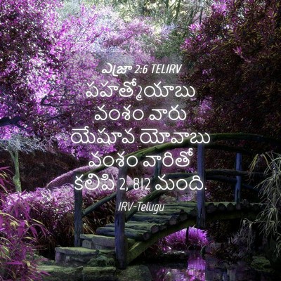 Picture 04 - ఎజ్రా 2:6 TELIRV - పహత్మోయాబు వంశం - Bible Verse Picture
