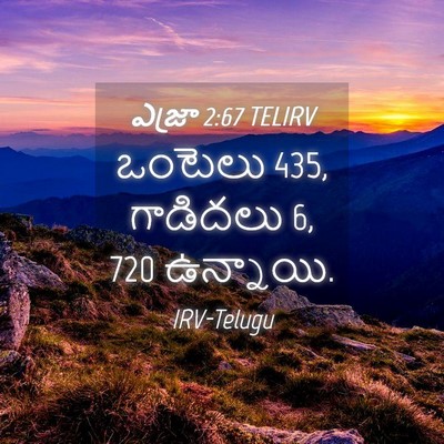 Picture 04 - ఎజ్రా 2:67 TELIRV - ఒంటెలు 435, గాడిదలు 6, - Bible Verse Picture