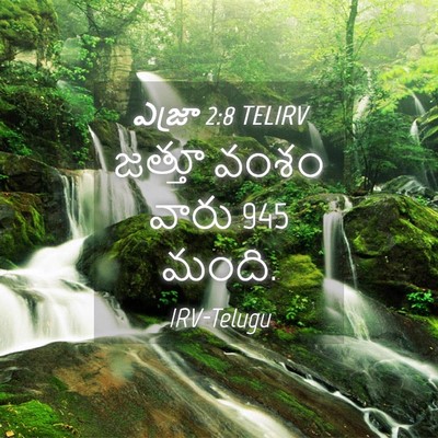 Picture 04 - ఎజ్రా 2:8 TELIRV - జత్తూ వంశం వారు 945 - Bible Verse Picture
