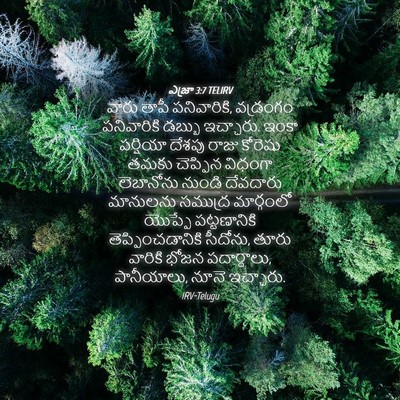 Picture 04 - ఎజ్రా 3:7 TELIRV - వారు తాపీ - Bible Verse Picture