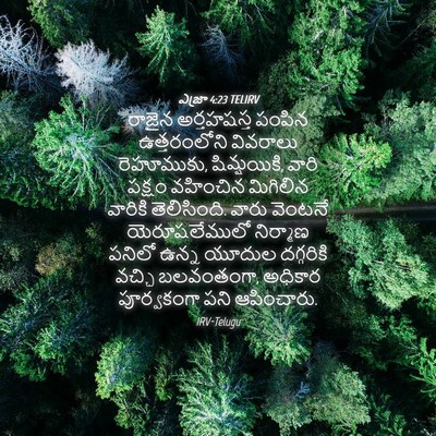 Picture 04 - ఎజ్రా 4:23 TELIRV - రాజైన అర్తహషస్త - Bible Verse Picture