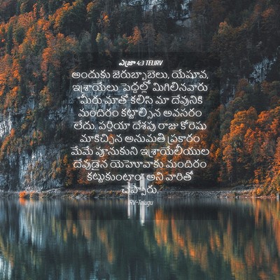 Picture 04 - ఎజ్రా 4:3 TELIRV - అందుకు - Bible Verse Picture