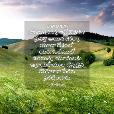 Picture 04 - ఎజ్రా 5:1 TELIRV - హగ్గయి ప్రవక్త, - Bible Verse Picture