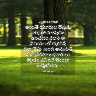 Picture 04 - ఎజ్రా 5:5 TELIRV - అయితే యూదుల - Bible Verse Picture