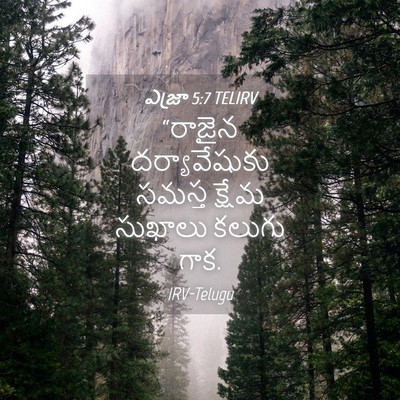 Picture 04 - ఎజ్రా 5:7 TELIRV - “రాజైన - Bible Verse Picture