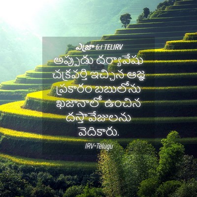 Picture 04 - ఎజ్రా 6:1 TELIRV - అప్పుడు దర్యావేషు - Bible Verse Picture
