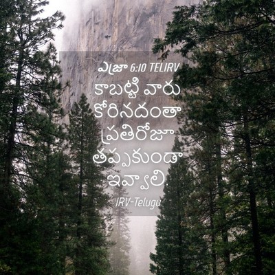 Picture 04 - ఎజ్రా 6:10 TELIRV - కాబట్టి వారు - Bible Verse Picture