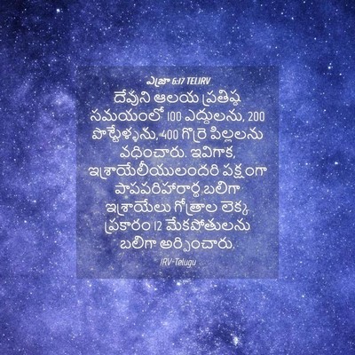 Picture 04 - ఎజ్రా 6:17 TELIRV - దేవుని ఆలయ - Bible Verse Picture