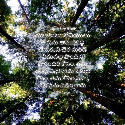 Picture 04 - ఎజ్రా 6:20 TELIRV - యాజకులు, లేవీయులు - Bible Verse Picture