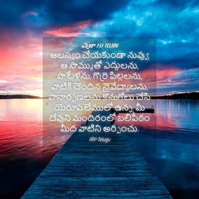Picture 04 - ఎజ్రా 7:17 TELIRV - ఆలస్యం చేయకుండా - Bible Verse Picture