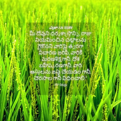 Picture 04 - ఎజ్రా 7:26 TELIRV - మీ దేవుని - Bible Verse Picture