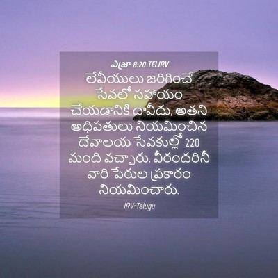 Picture 04 - ఎజ్రా 8:20 TELIRV - లేవీయులు జరిగించే - Bible Verse Picture
