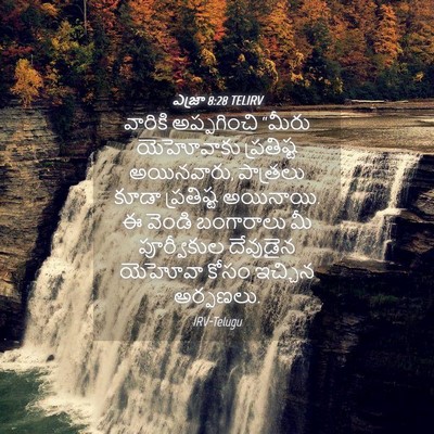 Picture 04 - ఎజ్రా 8:28 TELIRV - వారికి అప్పగించి - Bible Verse Picture