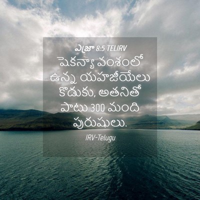 Picture 04 - ఎజ్రా 8:5 TELIRV - షెకన్యా వంశంలో - Bible Verse Picture