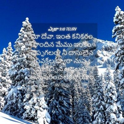 Picture 04 - ఎజ్రా 9:10 TELIRV - మా దేవా, ఇంత కనికరం - Bible Verse Picture