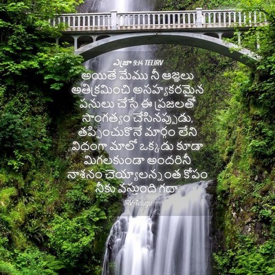 Picture 04 - ఎజ్రా 9:14 TELIRV - అయితే మేము నీ - Bible Verse Picture