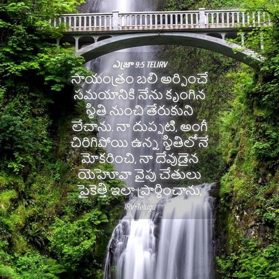 Picture 04 - ఎజ్రా 9:5 TELIRV - సాయంత్రం బలి - Bible Verse Picture