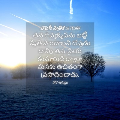 Picture 04 - ఎఫెసీ పత్రిక 1:6 TELIRV - తన దివ్యకృపను - Bible Verse Picture