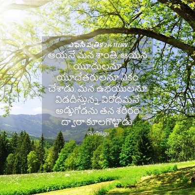Picture 04 - ఎఫెసీ పత్రిక 2:14 TELIRV - ఆయనే మన శాంతి. ఆయన - Bible Verse Picture